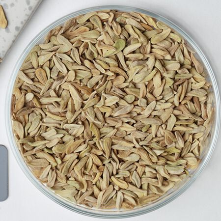 Madagascar, Palm Seed - Packet image number null